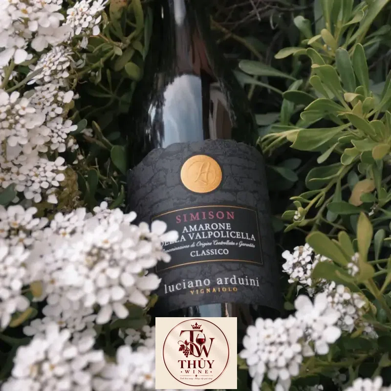 vang y amarone simison della vapolicella clasico docg giá bao nhiêu