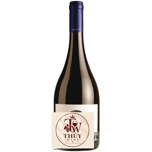 Vang Chile Amayna Syrah