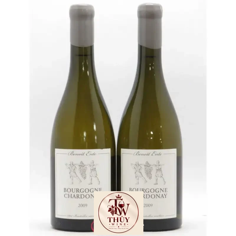 Vang Pháp Bourgogne Chardonnay Benoit Ente thượng hạng