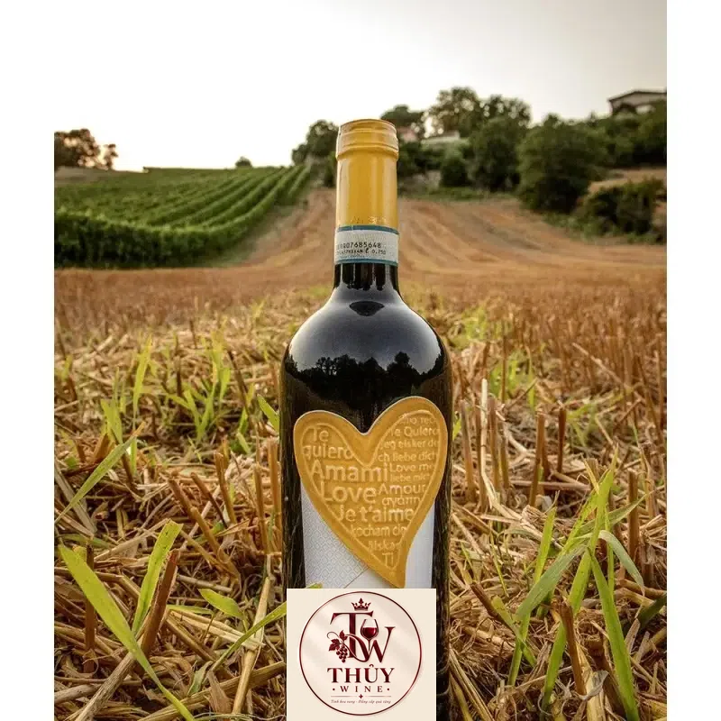 Vang đỏ Amami Montepulciano