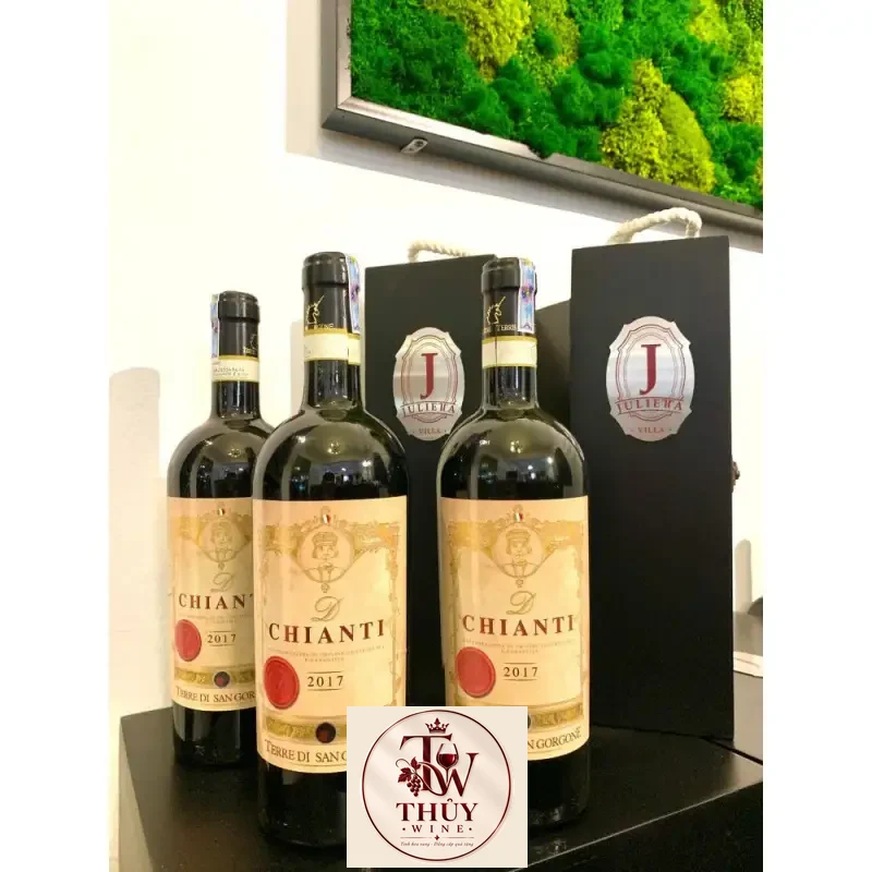 Vang Ý D Chianti Terre di San Gorgone uống ngon
