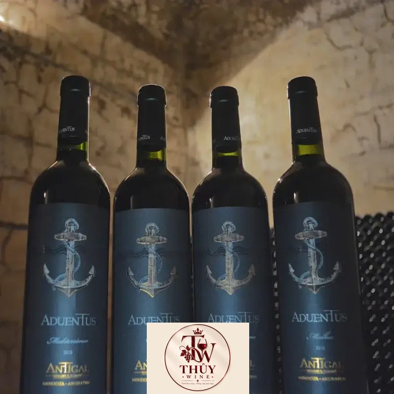 Địa chỉ bán ruou vang aduentus antigal blend mendoza chiet khau cao giá rẻ tại Hà Nội
