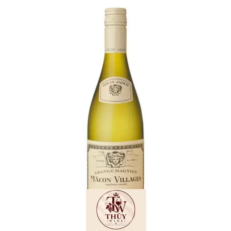 Vang Pháp Macon Villages Grange Magnien Louis Jadot uống ngon