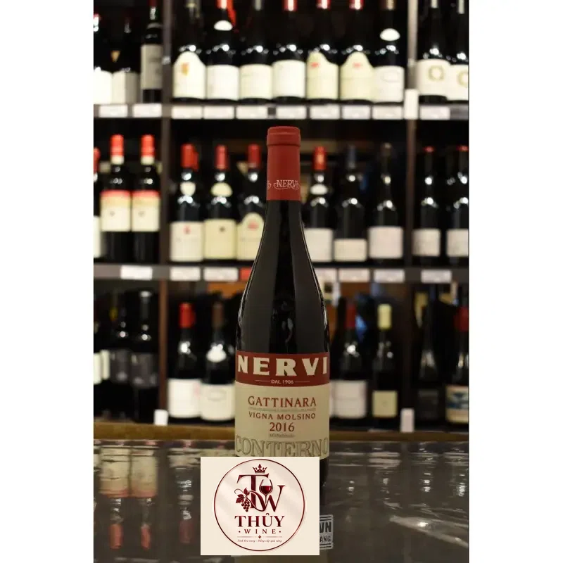 Địa chỉ bán ruou vang y conterno nervi gattinara vigna molsino giá rẻ tại Sài Gòn