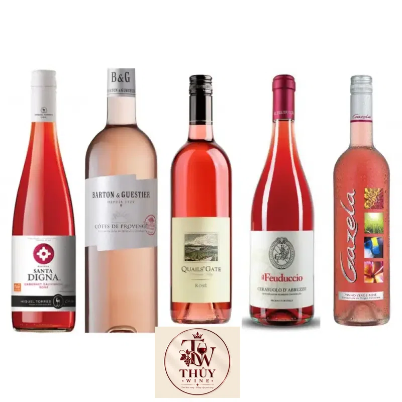 Mua vang phap barton guestier cotes de provence passeport cao cap giá rẻ tại Hà Nội