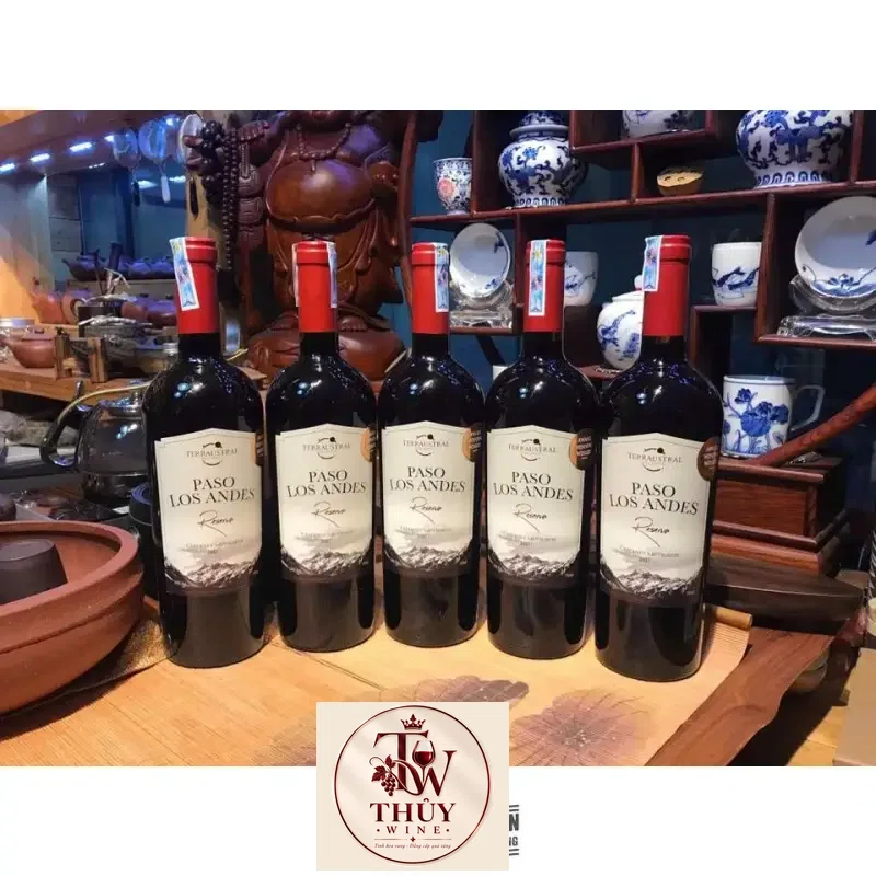 Vang Chile PASO LOS ANDES RESERVA