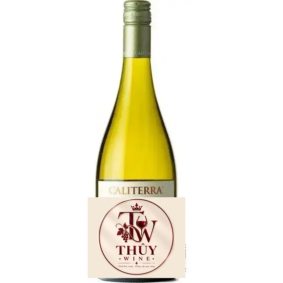 Vang Chile CALITERRA Tributo Sauvignon Blanc