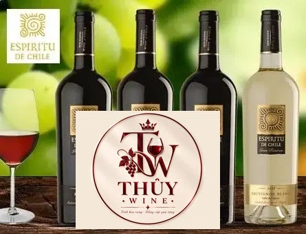 Kết quả hình ảnh cho espiritu de chile gran reserva cabernet sauvignon