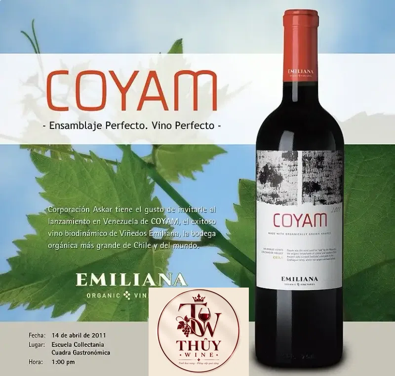 Vang Chile COYAM EMILIANA