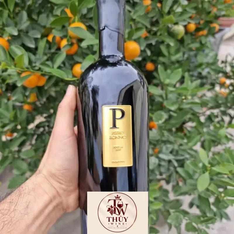 vang y p piero bonnci primitivo puglia do chinh hang giá bao nhiêu
