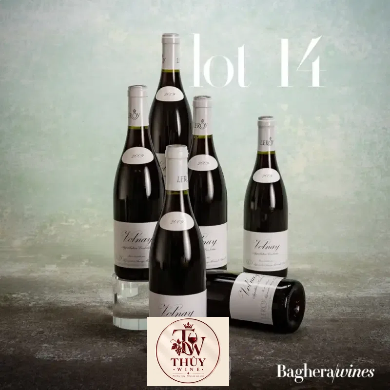Mua vang phap gevrey chambertin maison leroy giá rẻ tại Hà Nội
