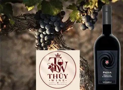 Vang ý PAZZIA Primitivo di Manduria