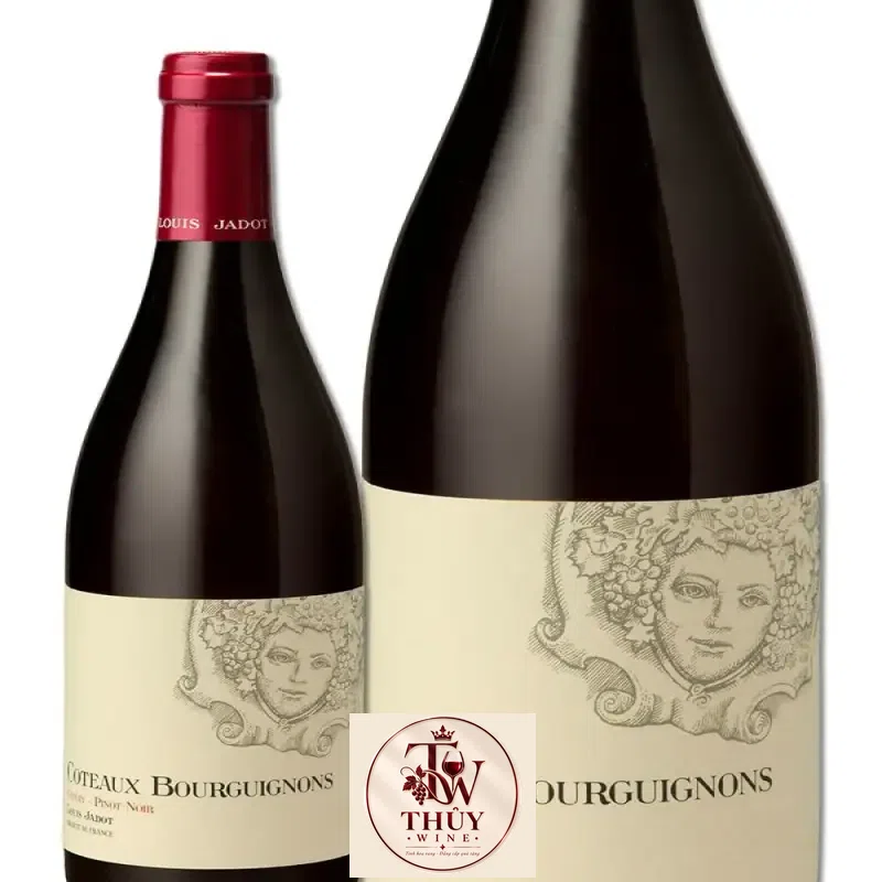 vang phap louis jadot coteaux bourguignon do giá bao nhiêu