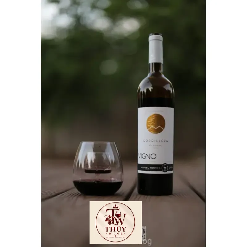 Địa chỉ mua vang chile cordillera carmenere migeul torres giá rẻ nhất