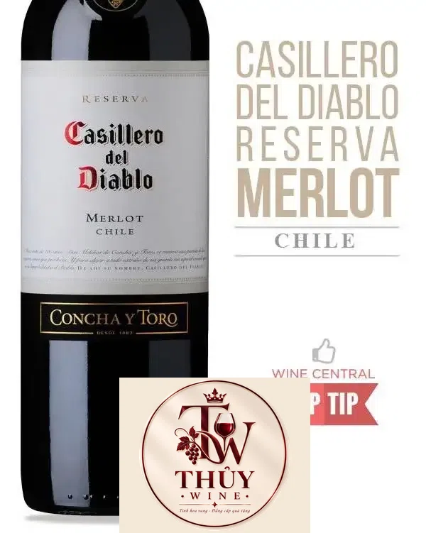 Vang Chile CASILLERO DEL DIABLO Merlot