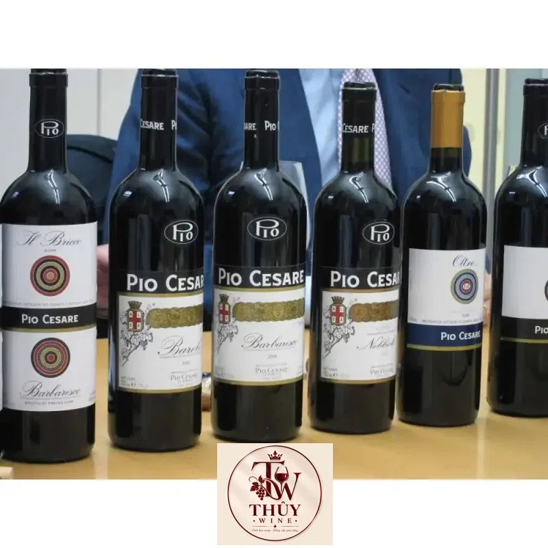 Mua vang y pio cesare ornato single vineyard barolo gia re giá rẻ tại Sài Gòn