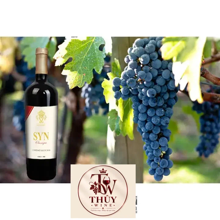 VANG CHILE SYN CLASSIQUE CABERNET SAUVIGNON