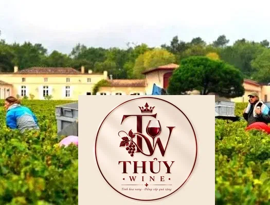 Vang Pháp DOMAINE DE CHEVALIER thượng hạng