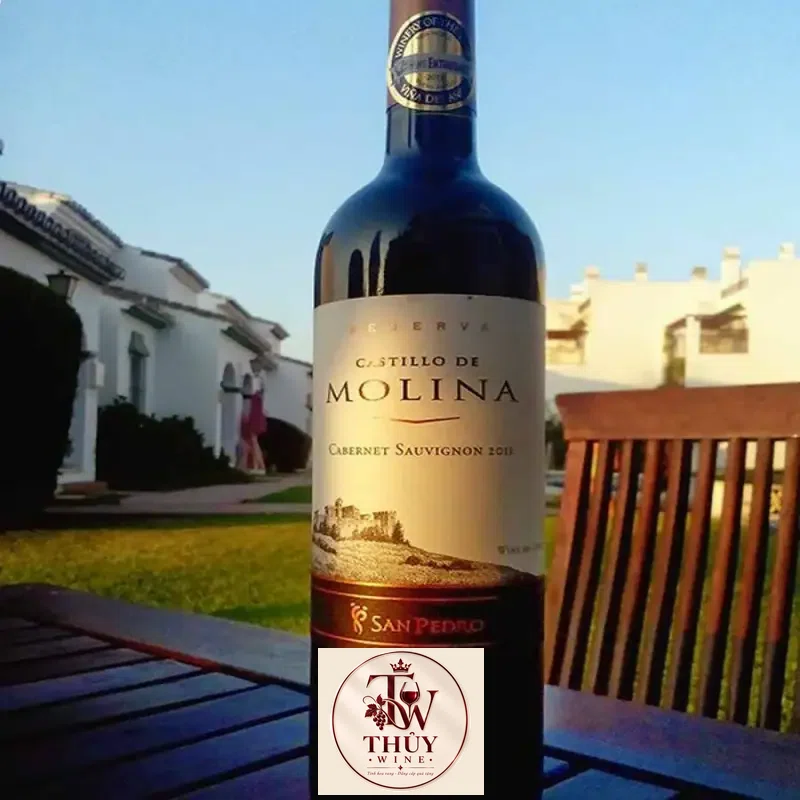 Giá vang chile castillo de molina san pedro reserva red  white