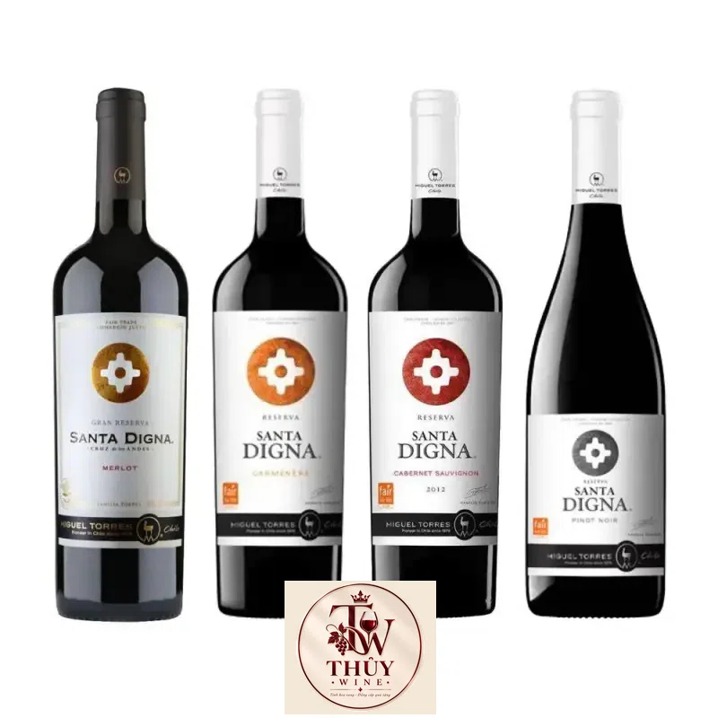 Địa chỉ mua vang chile santa digna pinot noir giá rẻ nhất