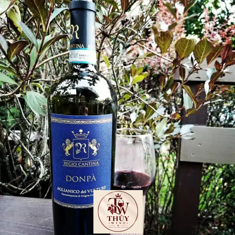 Địa chỉ bán vang y regio cantina donpa aglianico del vulture giá rẻ tại Sài Gòn