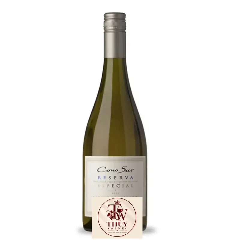 Vang Chile CONO SUR RESERVA ESPECIAL SAUVIGNON BLANC