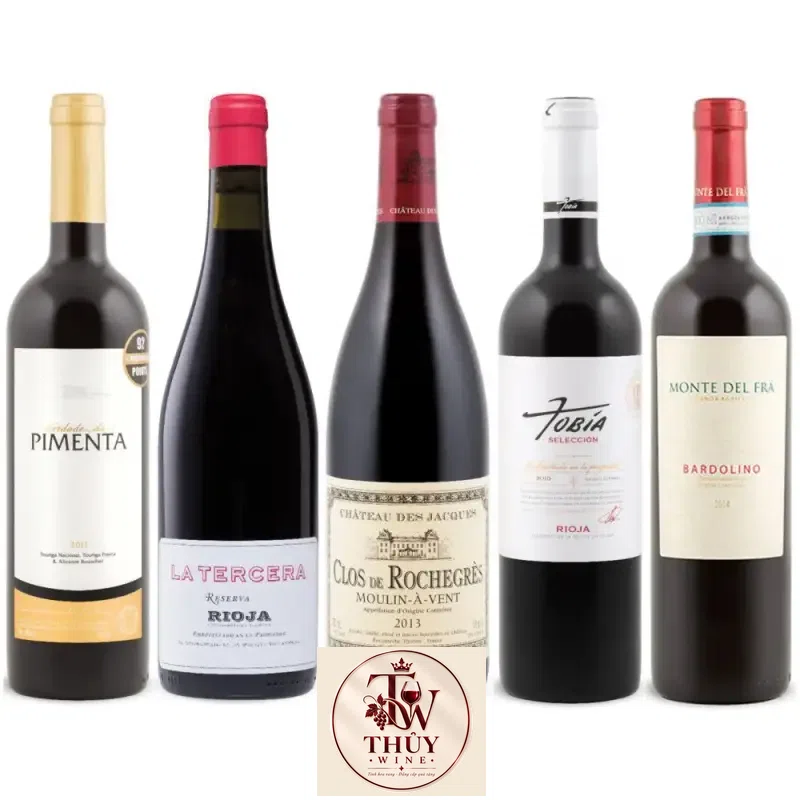 Địa chỉ bán vang phap clos de rochegres moulin a vent chateau des jacques giá rẻ tại Sài Gòn
