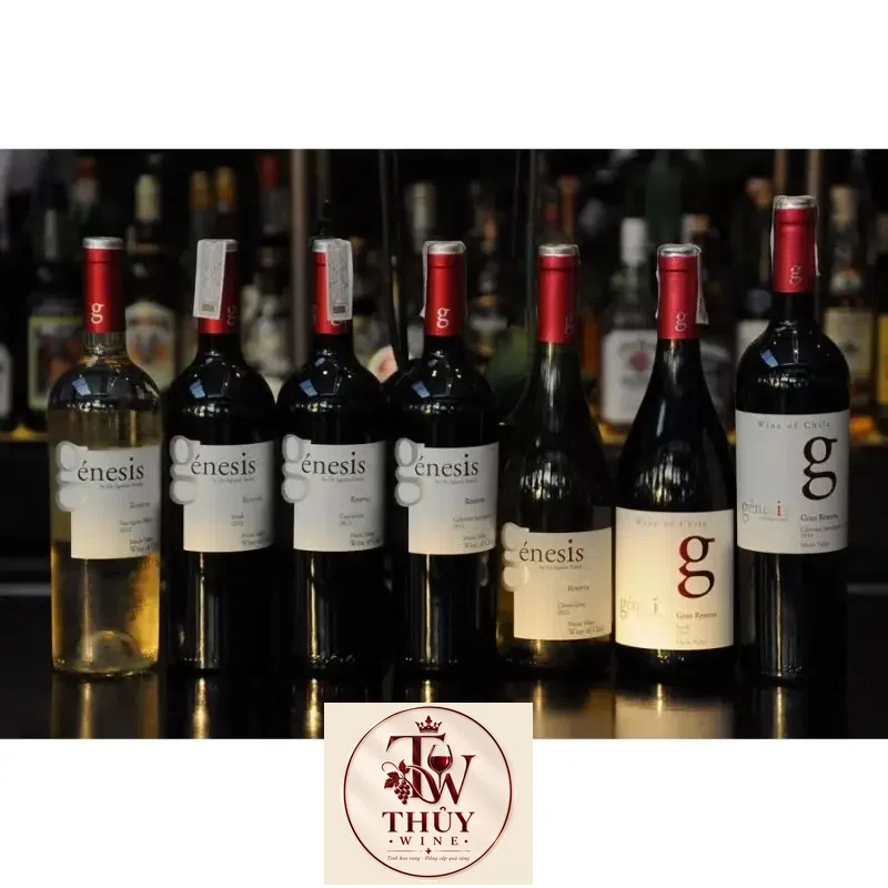 Vang Chile Genesis Reserva Cabernet sauvignon