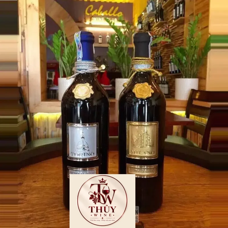 Vang Ý Torino Salvano Piemonte Rosso thượng hạng
