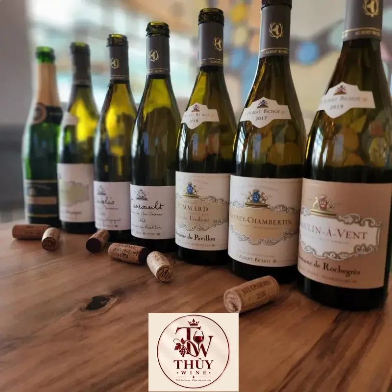 vang phap bourgogne gamay albert bichot mua ở đâu giá rẻ nhất