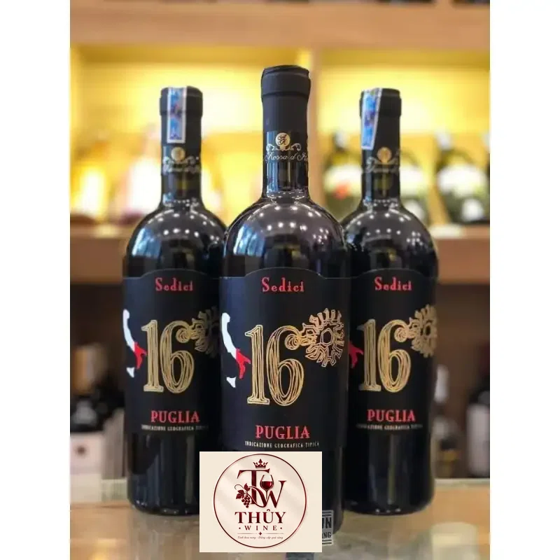 Rượu vang Ý 16 SEDICI PUGLIA 16 độ uống ngon