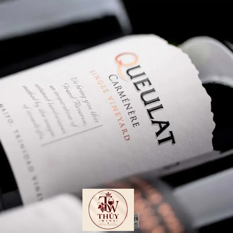 Vang Chile Ventisquero Queulat Carmenere