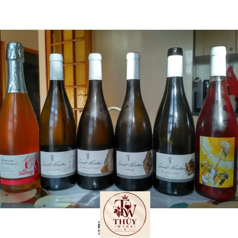 Mua vang phap domaine saint nicolas le poire giá rẻ tại Sài Gòn