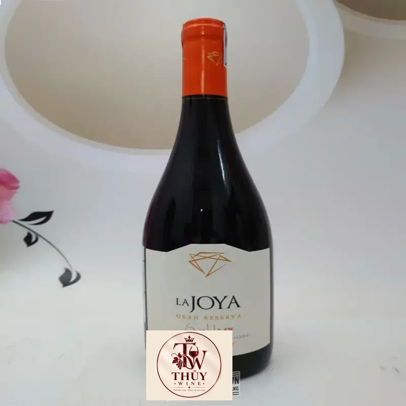 Địa chỉ mua vang chile la joya gran reserva pinot noir bisquertt giá rẻ nhất