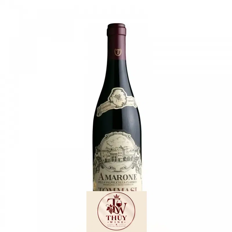 Vang Ý AMARONE TOMMASI Thượng hạng