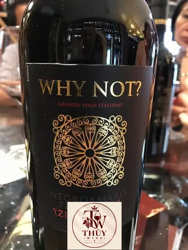 Vang Ý WHY NOT NEGROAMARO PRIMITIVO