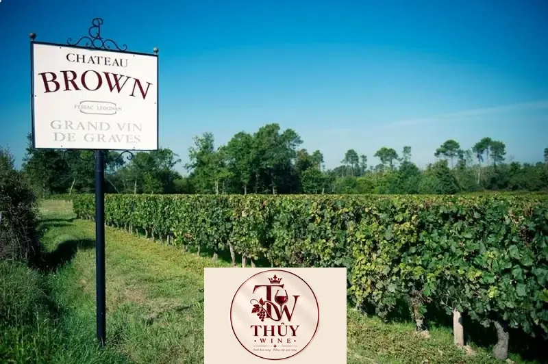 Chateau Brown - xtrawine DE