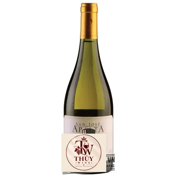 Vang Chile San Jose Apalta Reserva Chardonnay