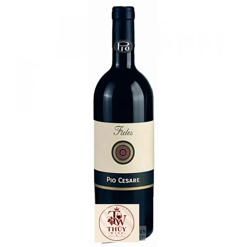 Vang Ý Pio Cesare Fides Barbera Dalba