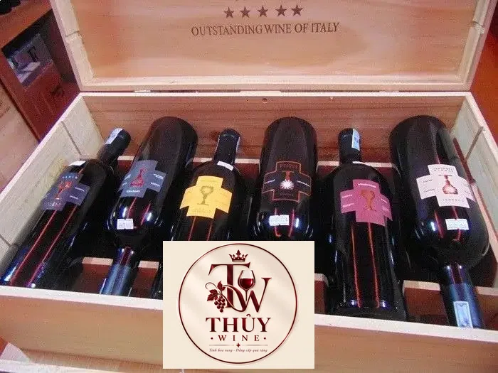 Vang Ý Chén thánh Schola Sarmenti Armentino Rosso Salento