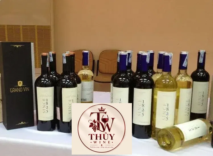 Vang chile ngon giá rẻ