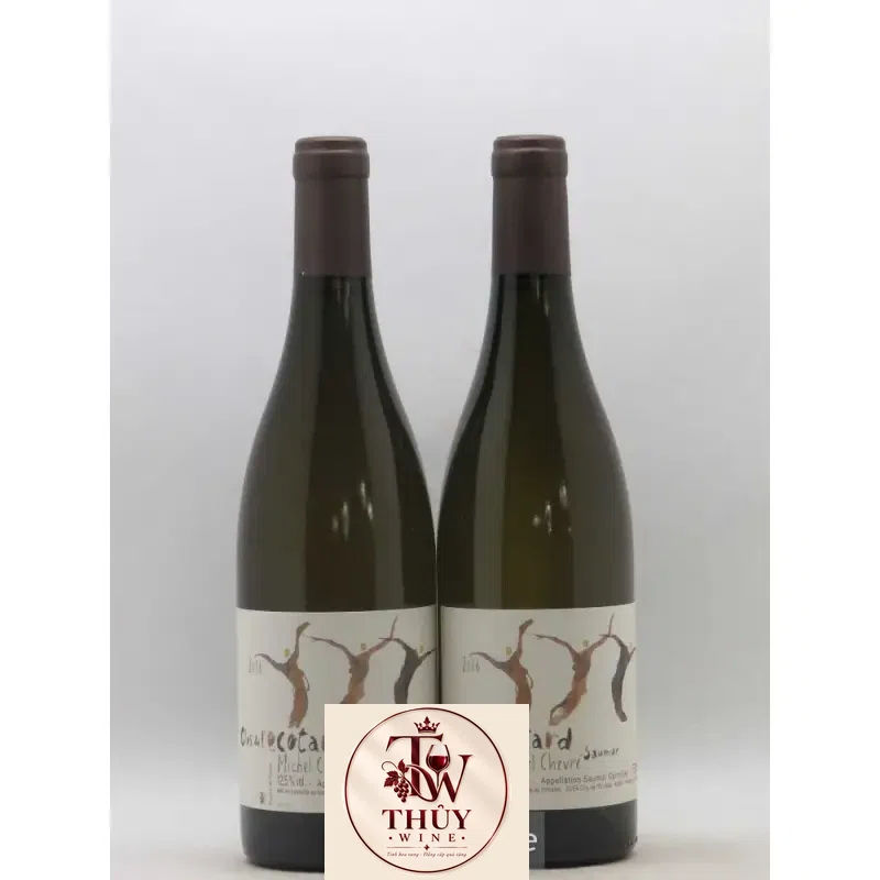 Địa chỉ mua vang phap clos de l ecotard saumur thierry germain giá rẻ nhất