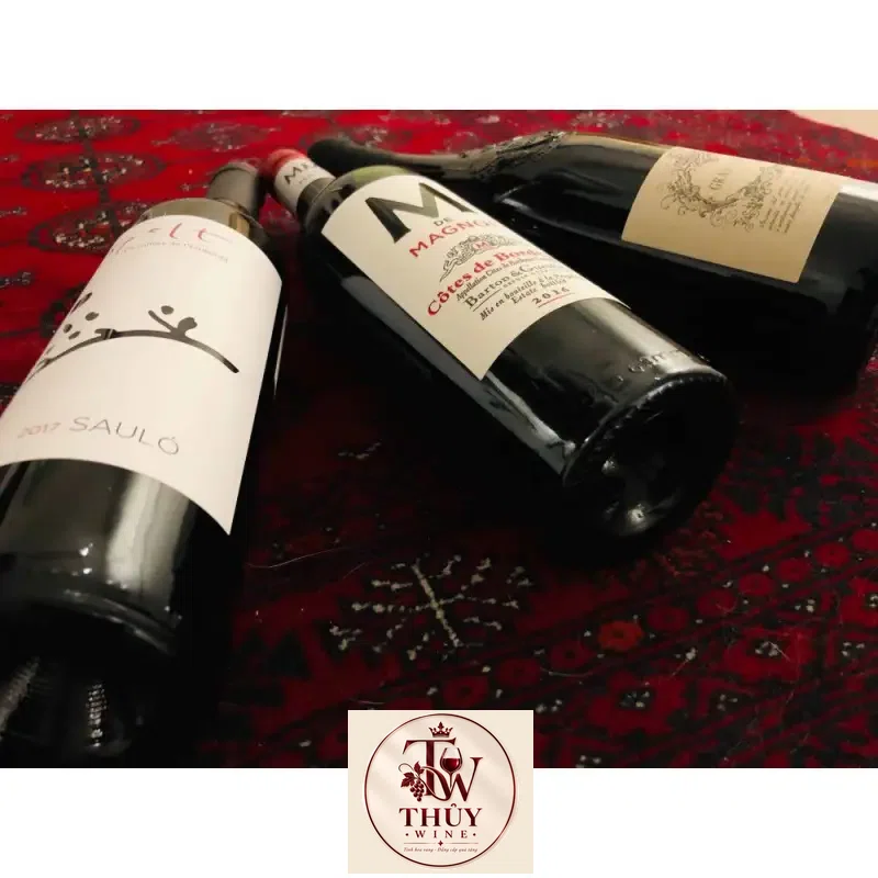 Mua vang phap m de magnol barton guestier cotes de bordeaux giá rẻ tại Hà Nội