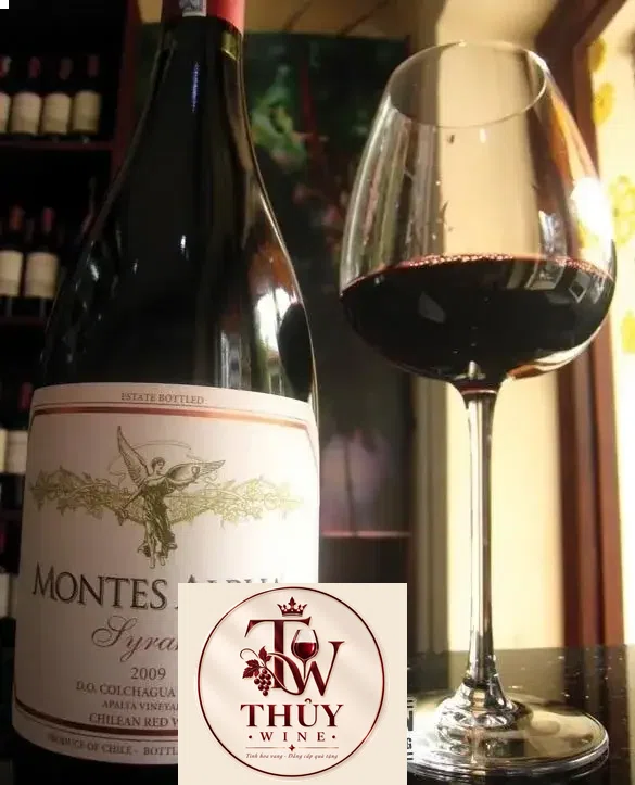 Vang Chile Montes Alpha Syrah