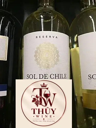 Sol de Chile Reserva Sauvignon Blanc 2017 | Wine Info