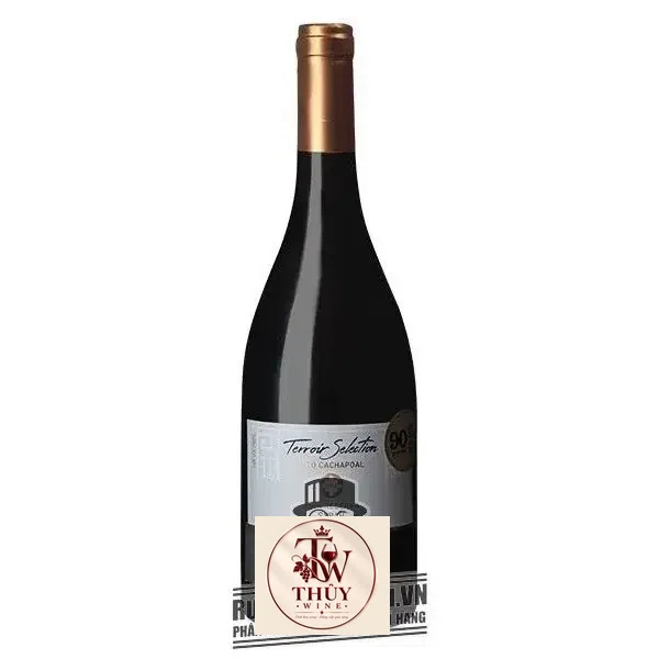 Vang Chile CASAS DEL TOQUI Gran Reserva Syrah