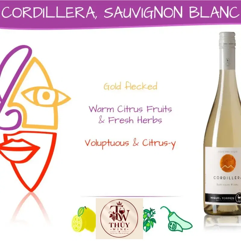 Giá vang chile cordillera miguel torres sauvignon blanc
