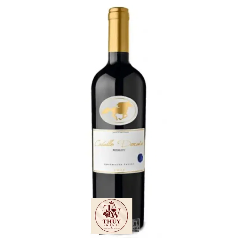 Vang Chile Caballo Dorado Varietal Cabernet Sauvignon Chiết khấu cao