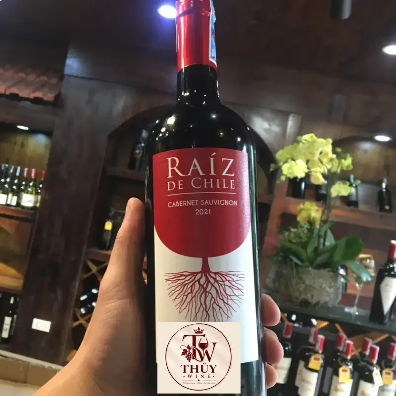 Vang Chile Raiz De Chile Cabernet Sauvignon