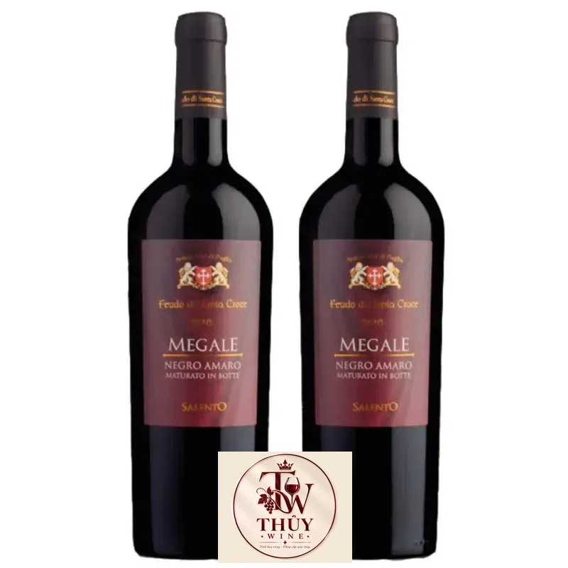 Vang Ý Megale 2016 NegroAmaro Salento Tinazzi